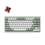 Keychron Q1 QMK VIA custom mechanical keyboard 75 percent layout full aluminum green frame for Mac Windows RGB backlight with hot swappable Gateron G Phantom switch brown