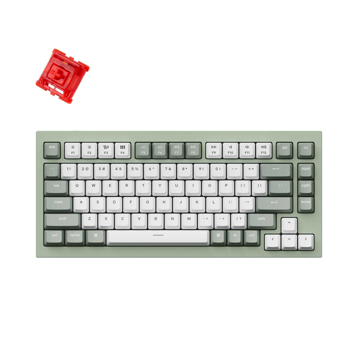 Keychron Q1 QMK VIA custom mechanical keyboard 75 percent layout full aluminum green frame for Mac Windows RGB backlight with hot swappable Gateron G Phantom switch red